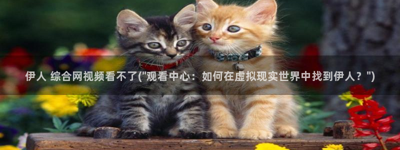 伊人久久深夜影院：伊人 综合网视频看不了(\