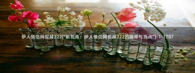 91伊人超碰网视频：伊人情侣网视频222(\