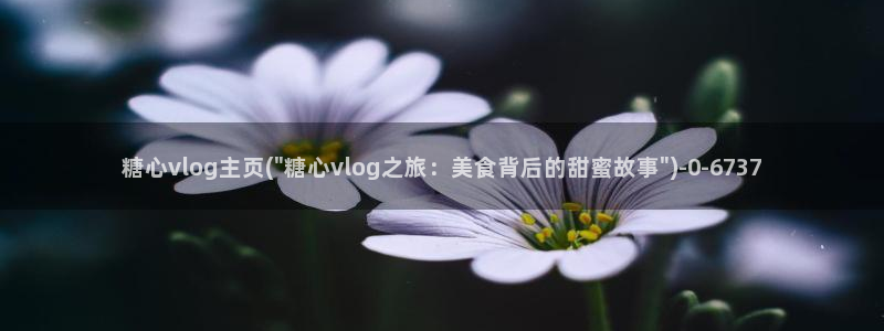 糖心视频vlog：糖心vlog主页(\