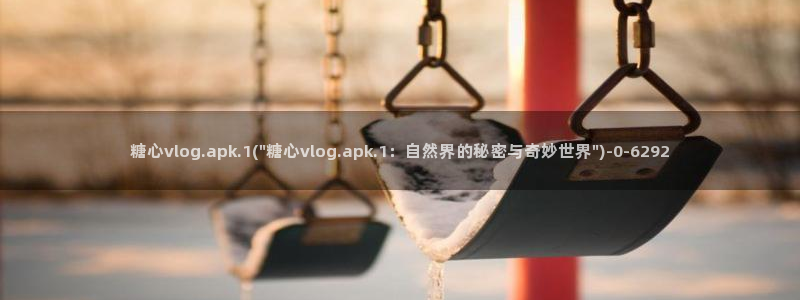糖心入口vlog