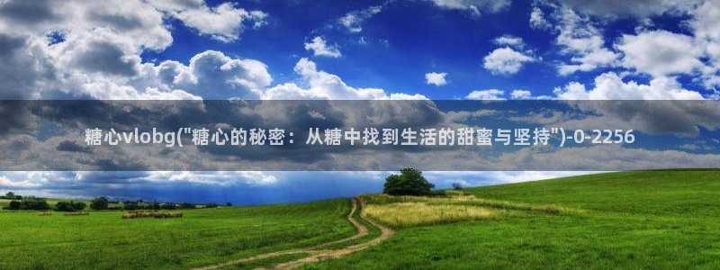 糖心vlog御梦子18