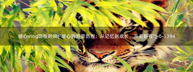 糖心vlog谁好看：糖心viog现在时间(\
