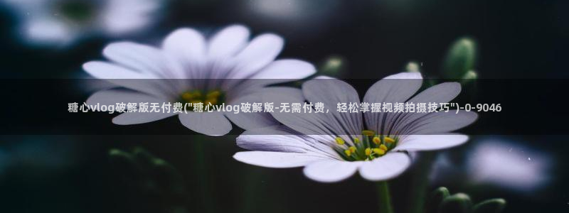 糖心vlog视频在线下载