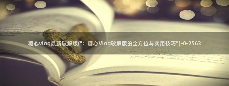 糖心vlogwww