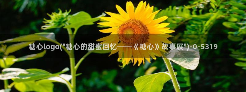 vlog糖心