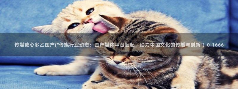 糖心vlog福利